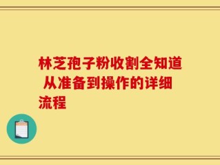 林芝孢子粉收割全知道 从准备到操作的详细流程