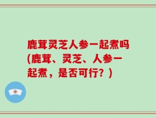 鹿茸灵芝人参一起煮吗(鹿茸、灵芝、人参一起煮，是否可行？)