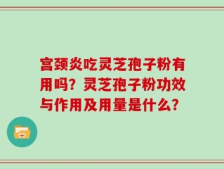 宫颈炎吃灵芝孢子粉有用吗？灵芝孢子粉功效与作用及用量是什么？
