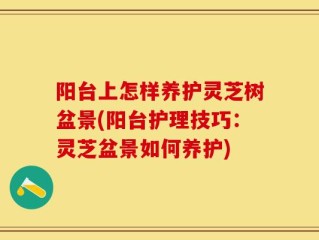 阳台上怎样养护灵芝树盆景(阳台护理技巧：灵芝盆景如何养护)