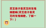 灵芝孢子是灵芝的生殖细胞嘛(灵芝孢子是灵芝的生殖细胞，了解一下！)