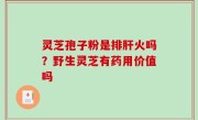 灵芝孢子粉是排肝火吗？野生灵芝有药用价值吗