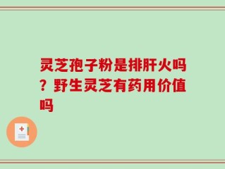 灵芝孢子粉是排肝火吗？野生灵芝有药用价值吗
