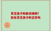 灵芝孢子粉解说视频？敖东灵芝孢子粉正宗吗