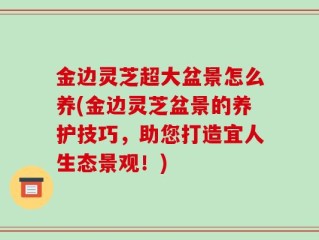 金边灵芝超大盆景怎么养(金边灵芝盆景的养护技巧，助您打造宜人生态景观！)