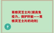 葛根灵芝士片(提高免疫力，保护肝脏——葛根灵芝士片的功效)
