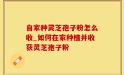 自家种灵芝孢子粉怎么收_如何在家种植并收获灵芝孢子粉