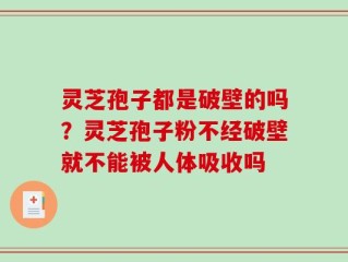 灵芝孢子都是破壁的吗？灵芝孢子粉不经破壁就不能被人体吸收吗