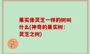 果实像灵芝一样的树叫什么(神奇的果实树：灵芝之树)