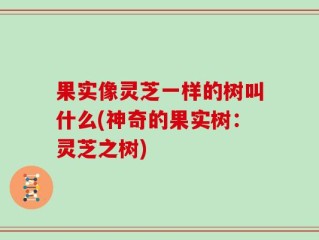 果实像灵芝一样的树叫什么(神奇的果实树：灵芝之树)