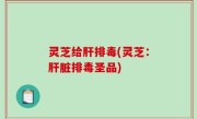 灵芝给肝排毒(灵芝：肝脏排毒圣品)