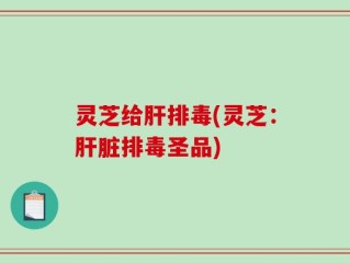 灵芝给肝排毒(灵芝：肝脏排毒圣品)