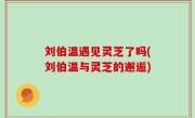 刘伯温遇见灵芝了吗(刘伯温与灵芝的邂逅)