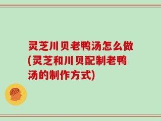 灵芝川贝老鸭汤怎么做(灵芝和川贝配制老鸭汤的制作方式)