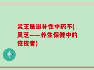 灵芝是滋补性中药不(灵芝——养生保健中的佼佼者)