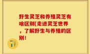 野生灵芝和养殖灵芝有啥区别(走进灵芝世界，了解野生与养殖的区别！