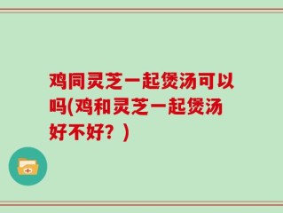 鸡同灵芝一起煲汤可以吗(鸡和灵芝一起煲汤好不好？)