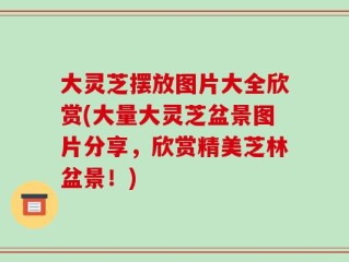 大灵芝摆放图片大全欣赏(大量大灵芝盆景图片分享，欣赏精美芝林盆景！)
