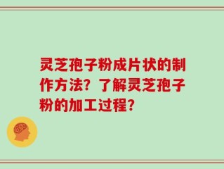 灵芝孢子粉成片状的制作方法？了解灵芝孢子粉的加工过程？