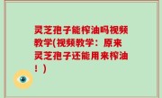 灵芝孢子能榨油吗视频教学(视频教学：原来灵芝孢子还能用来榨油！)