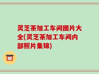 灵芝茶加工车间图片大全(灵芝茶加工车间内部照片集锦)