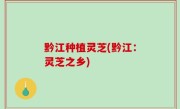 黔江种植灵芝(黔江：灵芝之乡)