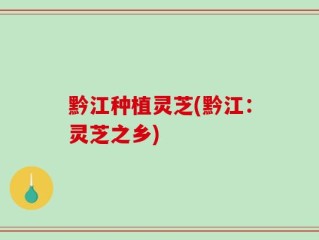 黔江种植灵芝(黔江：灵芝之乡)