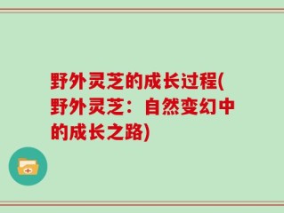 野外灵芝的成长过程(野外灵芝：自然变幻中的成长之路)