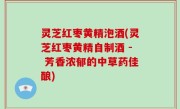 灵芝红枣黄精泡酒(灵芝红枣黄精自制酒 - 芳香浓郁的中草药佳酿)
