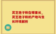 灵芝孢子粉在哪里长_灵芝孢子粉的产地与生长环境解析