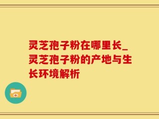 灵芝孢子粉在哪里长_灵芝孢子粉的产地与生长环境解析