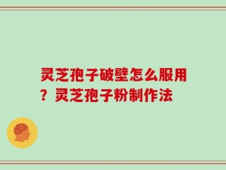 灵芝孢子破壁怎么服用？灵芝孢子粉制作法