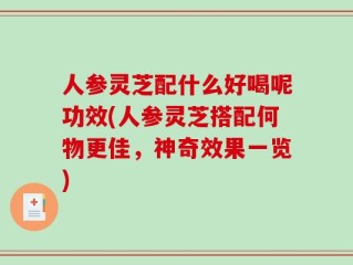 人参灵芝配什么好喝呢功效(人参灵芝搭配何物更佳，神奇效果一览)