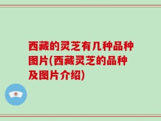 西藏的灵芝有几种品种图片(西藏灵芝的品种及图片介绍)