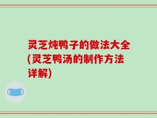 灵芝炖鸭子的做法大全(灵芝鸭汤的制作方法详解)
