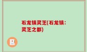 石龙镇灵芝(石龙镇：灵芝之都)