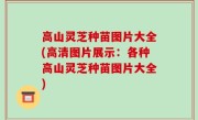 高山灵芝种苗图片大全(高清图片展示：各种高山灵芝种苗图片大全)
