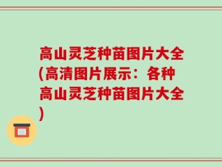 高山灵芝种苗图片大全(高清图片展示：各种高山灵芝种苗图片大全)