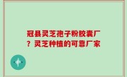 冠县灵芝孢子粉胶囊厂？灵芝种植的可靠厂家