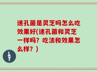 迷孔菌是灵芝吗怎么吃效果好(迷孔菌和灵芝一样吗？吃法和效果怎么样？)