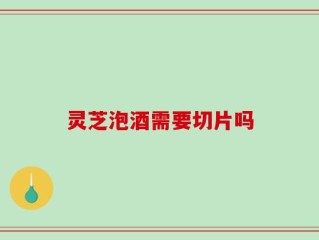 灵芝泡酒需要切片吗