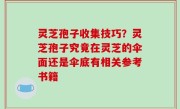 灵芝孢子收集技巧？灵芝孢子究竟在灵芝的伞面还是伞底有相关参考书籍