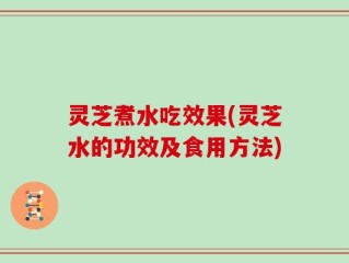 灵芝煮水吃效果(灵芝水的功效及食用方法)