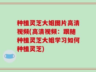 种植灵芝大姐图片高清视频(高清视频：跟随种植灵芝大姐学习如何种植灵芝)