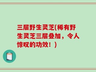 三层野生灵芝(稀有野生灵芝三层叠加，令人惊叹的功效！)