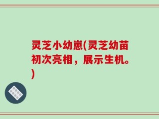 灵芝小幼崽(灵芝幼苗初次亮相，展示生机。)
