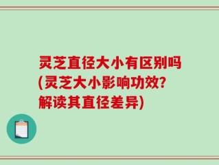 灵芝直径大小有区别吗(灵芝大小影响功效？解读其直径差异)