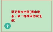 灵芝煮水泡茶(煮水泡茶，来一杯纯天然灵芝茶)