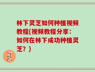 林下灵芝如何种植视频教程(视频教程分享：如何在林下成功种植灵芝？)