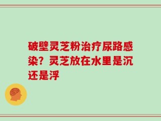 破壁灵芝粉治疗尿路感染？灵芝放在水里是沉还是浮